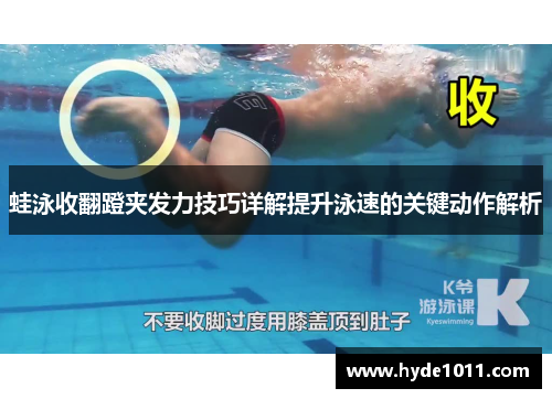 蛙泳收翻蹬夹发力技巧详解提升泳速的关键动作解析